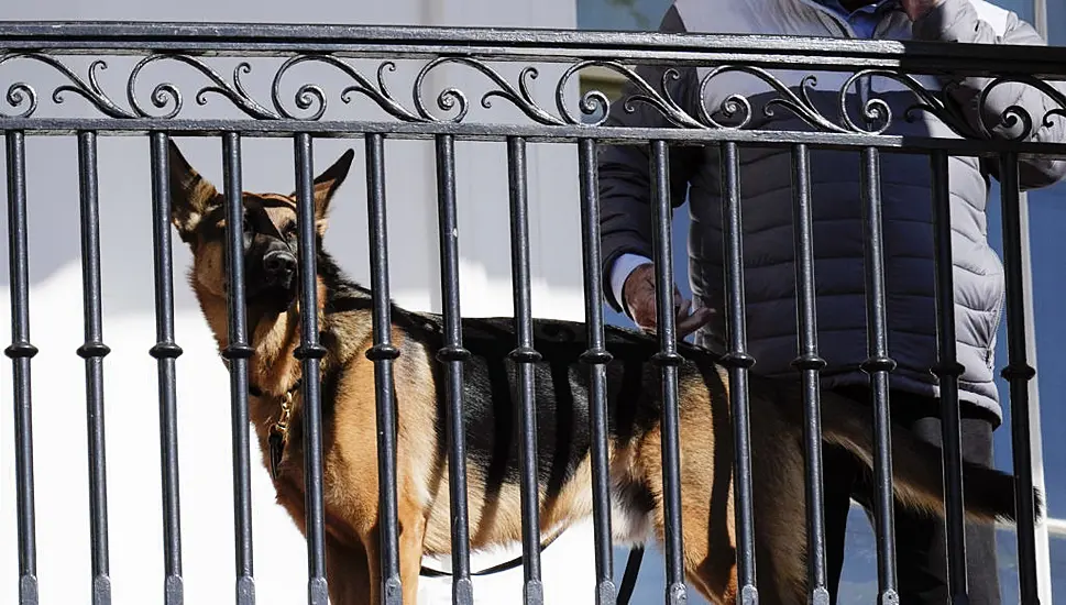 Biden's Dog 'Bit Secret Service Officers 10 Times In Four Months'