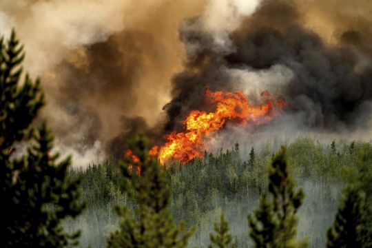 Firefighter Killed While Tackling Wildfire In British Columbia