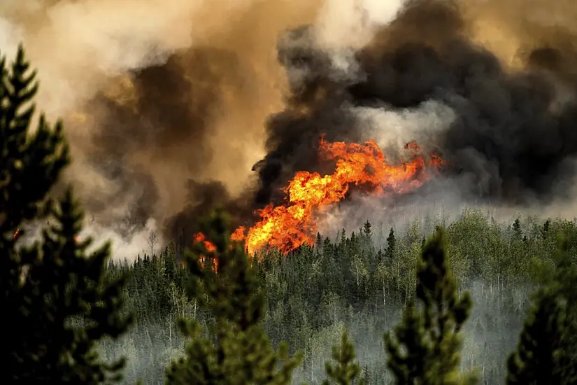 Firefighter Killed While Tackling Wildfire In British Columbia