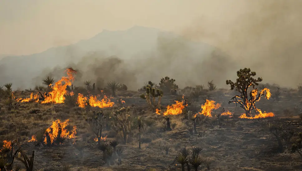 California Firefighters Partially Contain Massive Wildfire In Mojave Desert