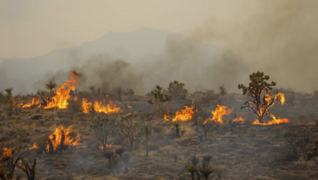 California Firefighters Partially Contain Massive Wildfire In Mojave Desert