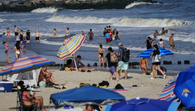 Woman Critically Injured After Being Bitten By Shark Off New York Beach