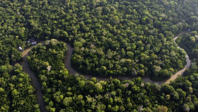Eight Amazon Rainforest Countries Open Summit In Brazil