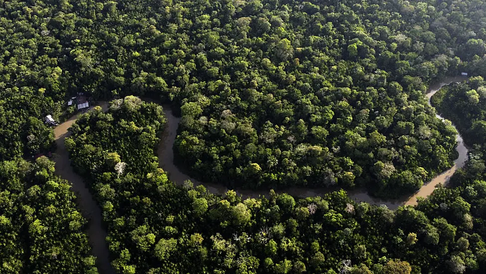 Amazon Nations Fail To Reach Agreement On Zero Deforestation By 2030