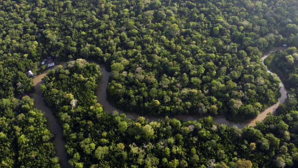 Amazon Nations Fail To Reach Agreement On Zero Deforestation By 2030