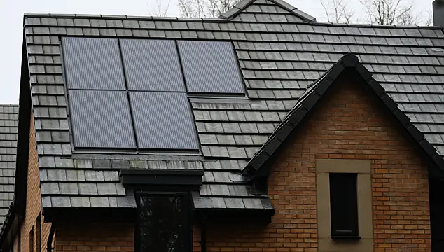 Solar Panels Can Save Homeowners Over €24,000, Survey Reveals