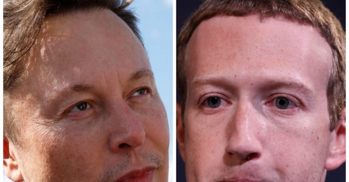 Mark Zuckerberg minimise les détails du combat en cage d’Elon Musk