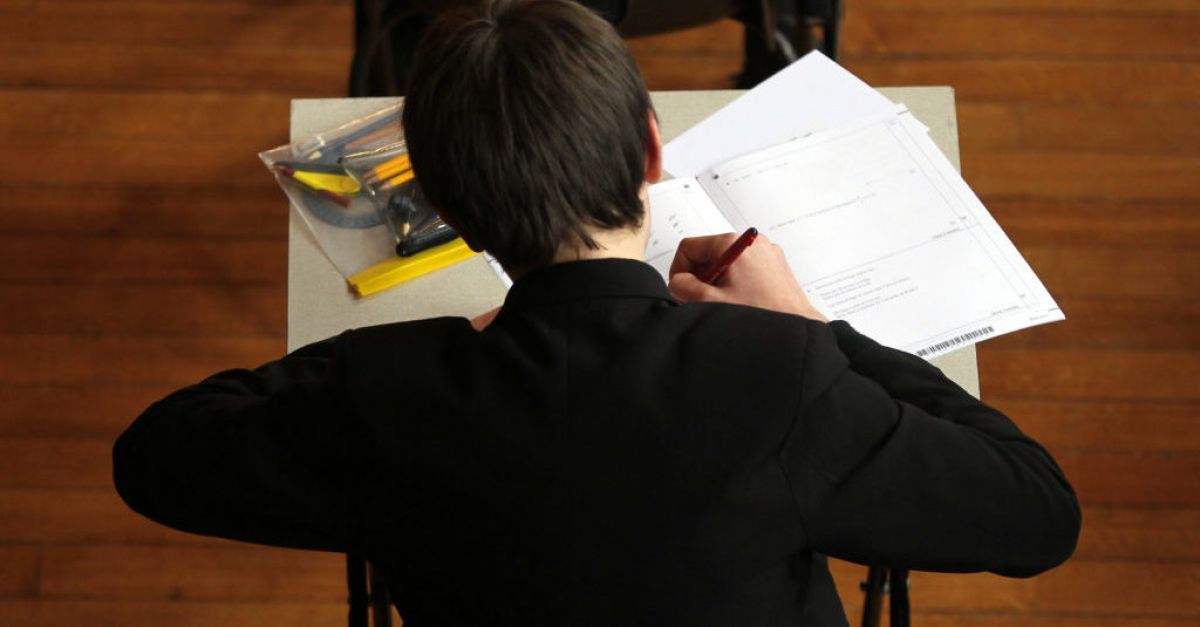 Exam chiefs working to help employers 'fully understand' new GCSE grades -  The Irish News