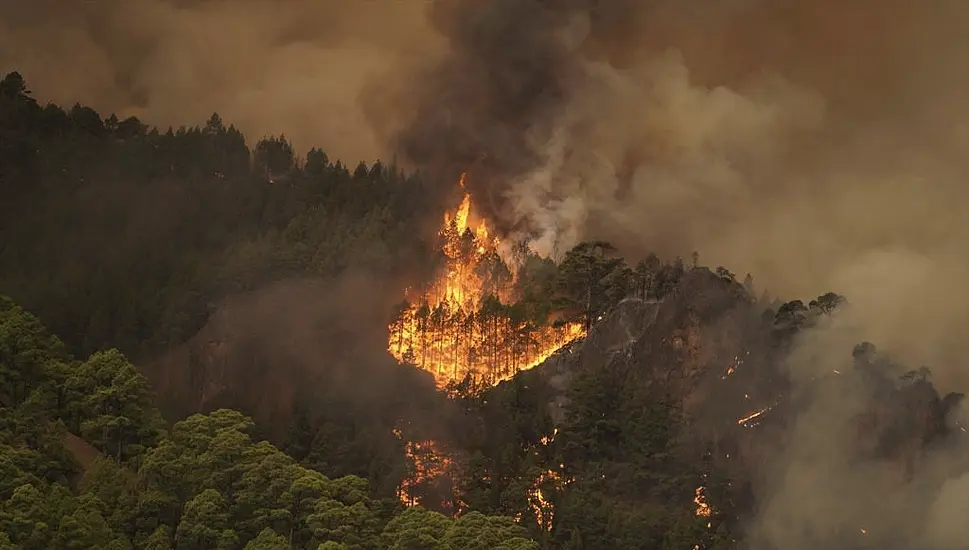 Thousands Evacuated As Out-Of-Control Wildfire Scorches Tenerife