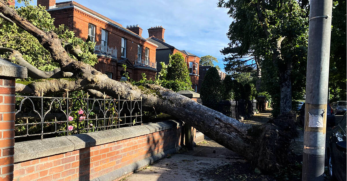 Storm Betty Leaves Over 12,000 Homes Without Power