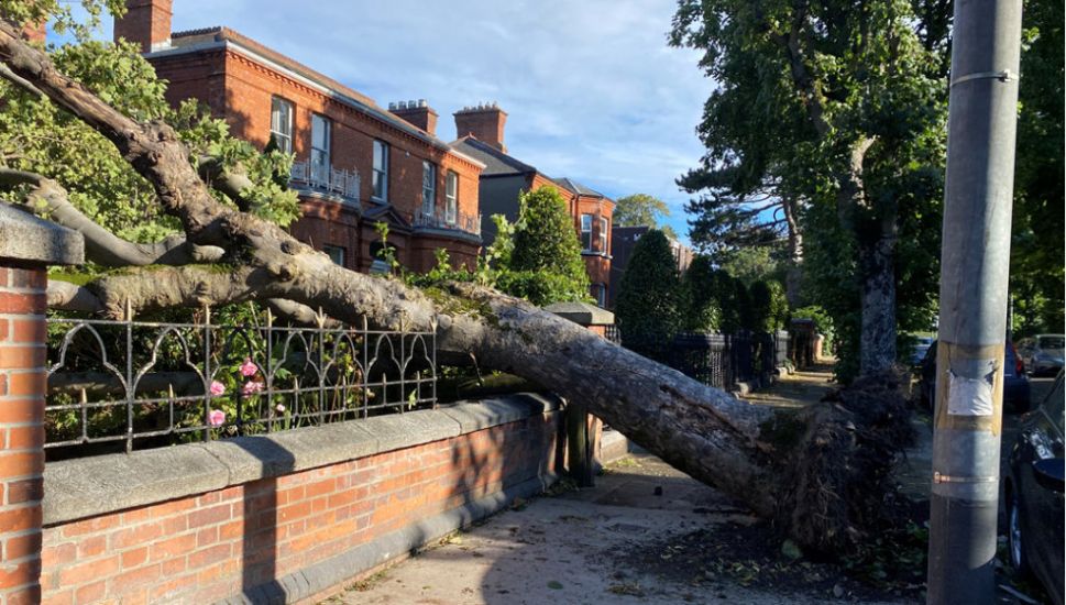 Storm Betty Leaves Over 12,000 Homes Without Power