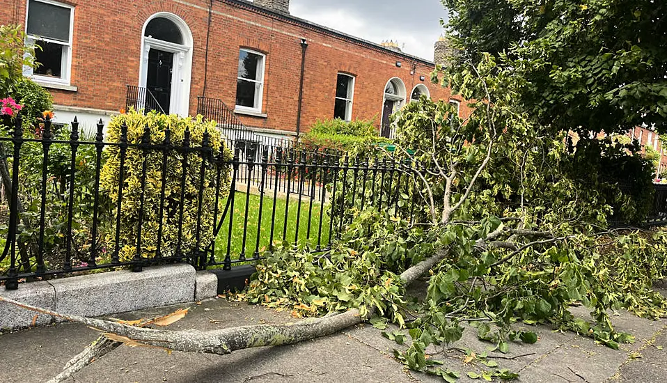 Storm Betty: Some Households To Remain Without Power Overnight As Clean Up Continues