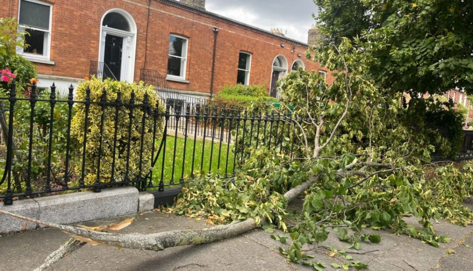 Storm Betty: Some Households To Remain Without Power Overnight As Clean Up Continues