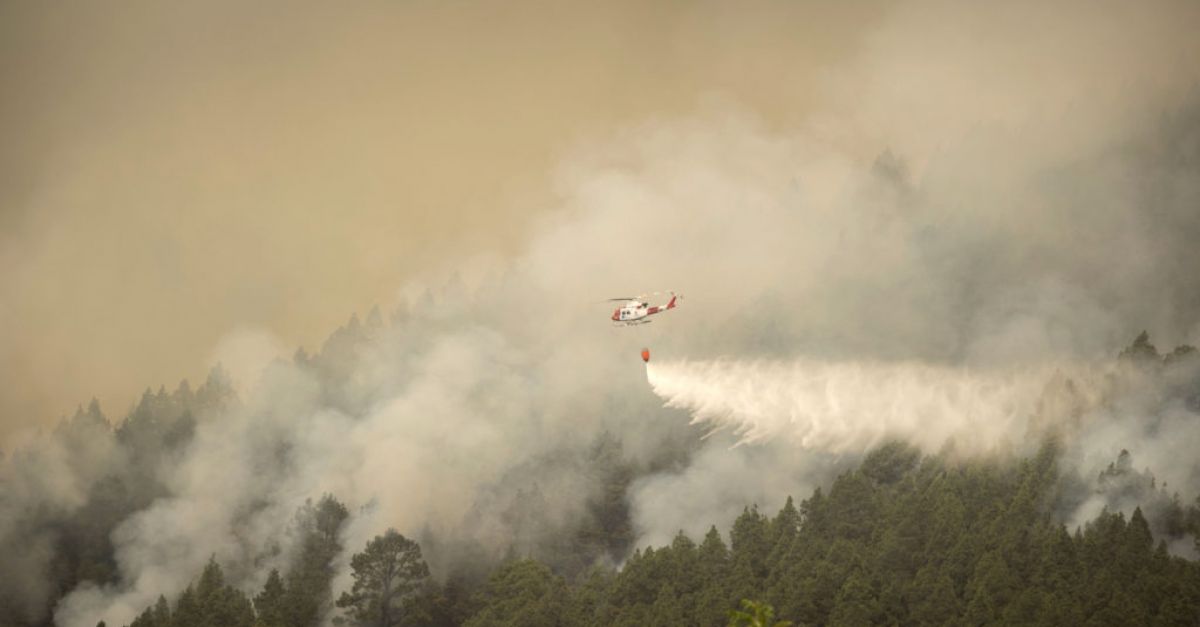 Тысячи людей эвакуированы из-за бушующих на Тенерифе лесных пожаров