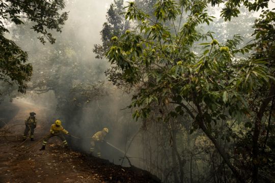 Cooler Weather Overnight Helps Firefighters Battling Tenerife Wildfire