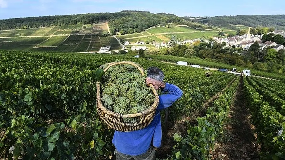 'Exceptional Vintage': French Hot Spell To Cut Wine Output But Boost Quality