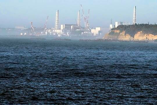 Fish Market In Japan Faces Uncertainty After Radioactive Water Released