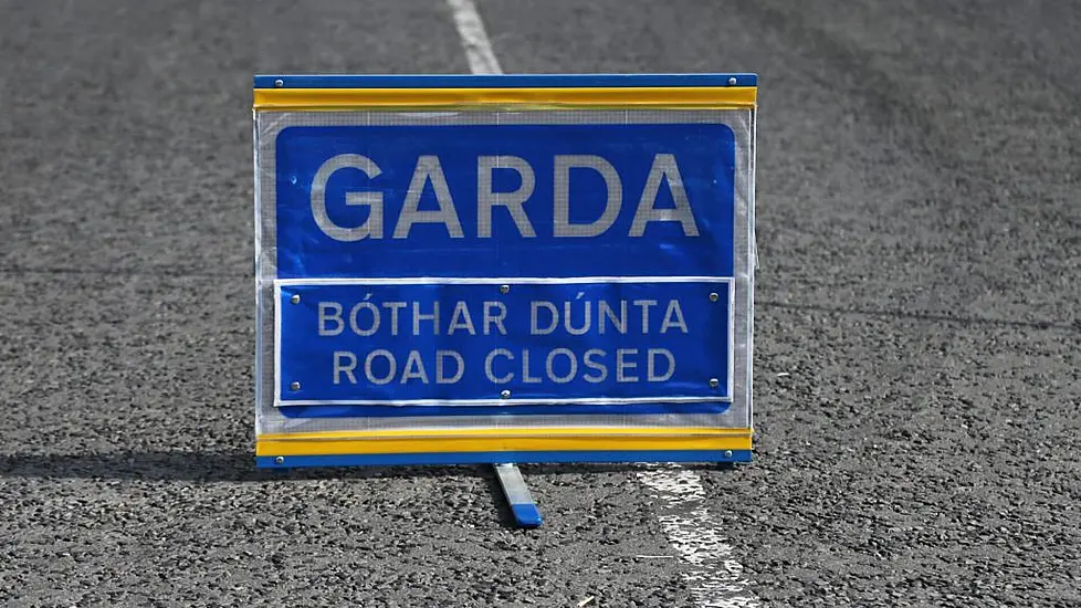 Woman Killed In Suspected Hit-And-Run In Dublin