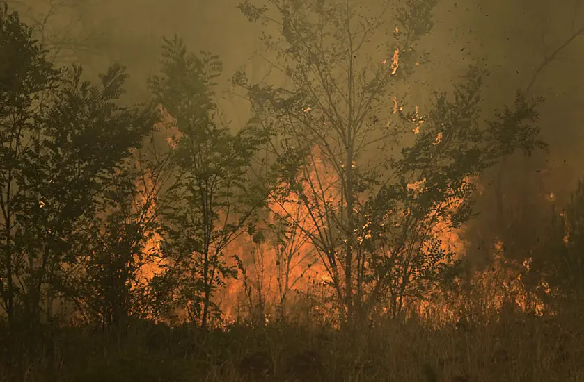 Greek Firefighters Rescue 25 Migrants Trapped In Forest As Wildfire Approaches