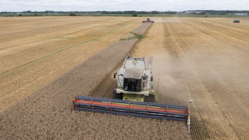 Poland Will Not Lift Embargo On Ukrainian Grain Imports, Says Pm