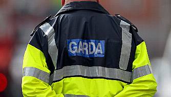 Former Us Embassy Employee Sues Gardaí For Alleged Wrongful Seizure Of Work Van