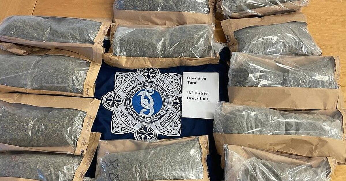 Two men arrested after drugs seizure in Dublin