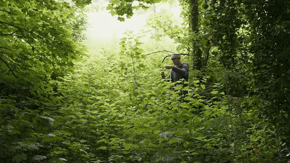 Man Spends Seven Years Making Stinging Nettle Dress As He Processes Wife’s Death