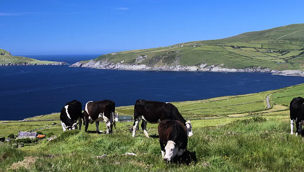 Minister Not Overruled By Taoiseach On Eu Nitrates Issue, Colleague Insists