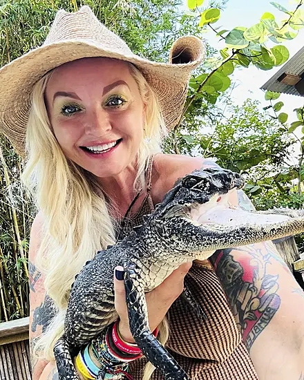 Alligator With Missing Jaw Finds New Home In Florida Reptile Park