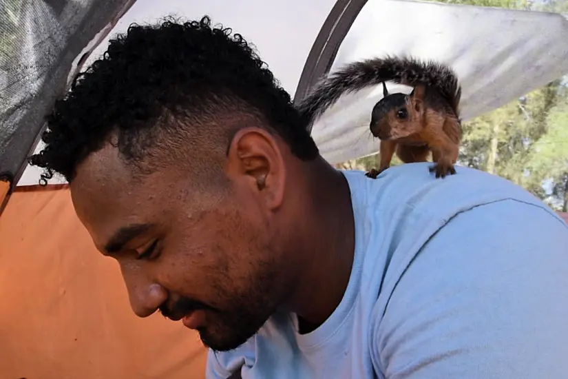 Venezuelan Faces Having To Part With Pet Squirrel After Making It To Us Border