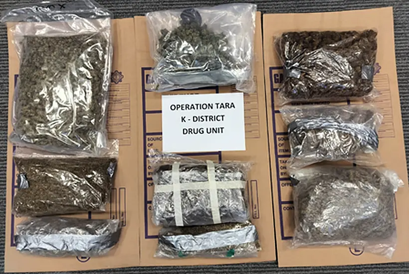 Man Arrested As Gardaí Seize Replica Firearms And Cannabis Worth €100,000