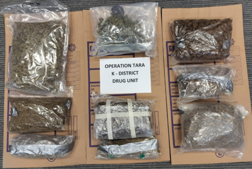 Man Arrested As Gardaí Seize Replica Firearms And Cannabis Worth €100,000