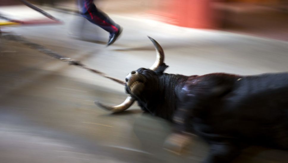 Spanish Law Strengthens Animal Rights – With Exemption On Bullfights