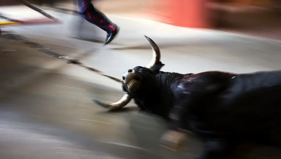 Spanish Law Strengthens Animal Rights – With Exemption On Bullfights