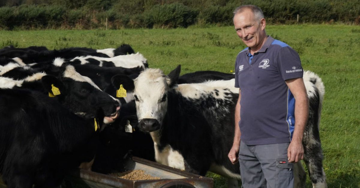Offaly dairy farmer says ‘there’s absolutely nothing for us in this budget’