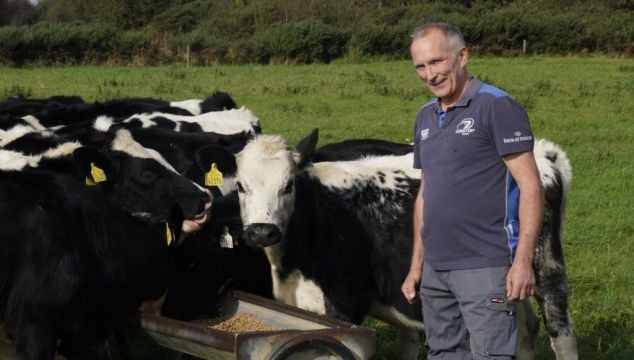Offaly Dairy Farmer Says 'There’s Absolutely Nothing For Us In This Budget'