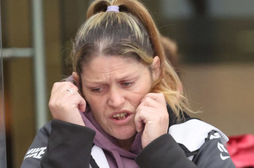 Grandmother Who Directed 'Terrible' Abuse At Gardaí During Dáil Protest Avoids Jail