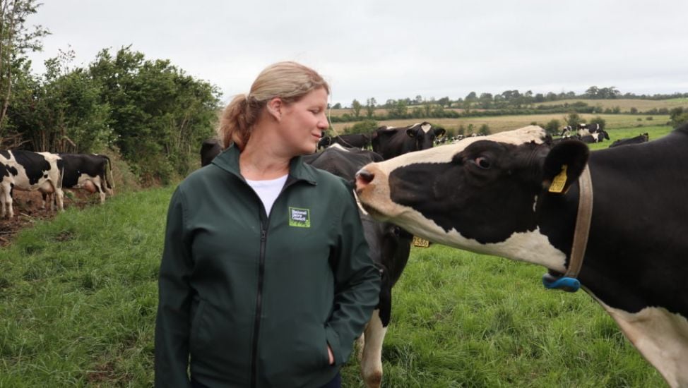 The Grassroots Movement Tackling The Climate Challenge In Irish Dairy Farming