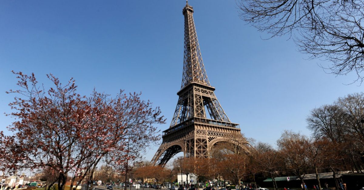 Man decides to propose after visitors temporarily stranded on Eiffel Tower