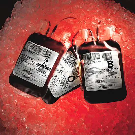 Urgent Appeal Issued For Regular Donors To Give Blood