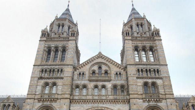 Just Stop Oil Activists Held After Paint Protest At Natural History Museum