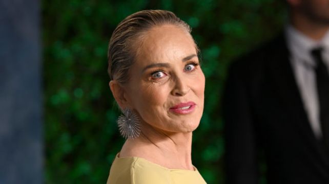 Sharon Stone Says Doctors Thought She Was ‘Faking’ Brain Haemorrhage