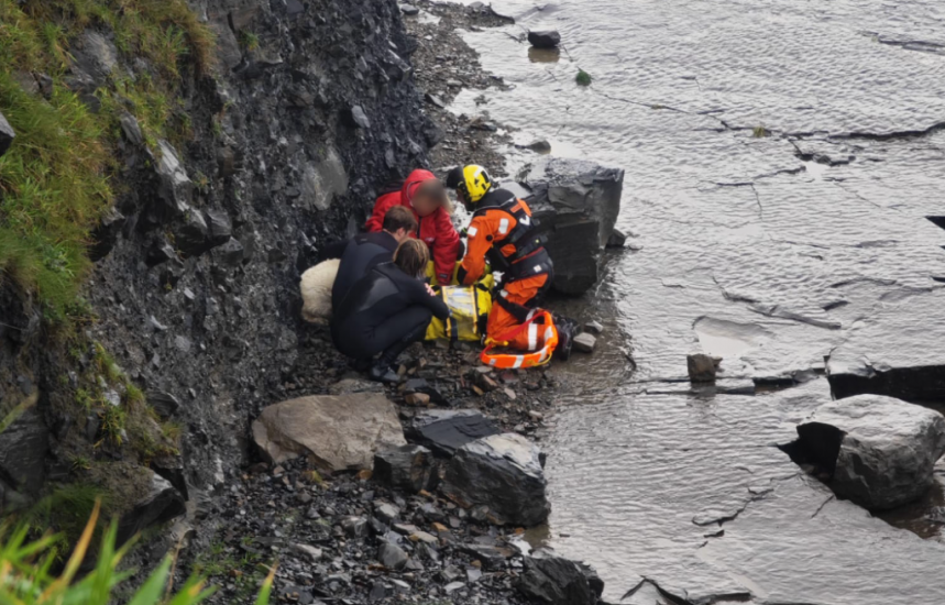 Woman And Dog Airlifted To Safety After Being Cut Off By Rising Tide In Clare