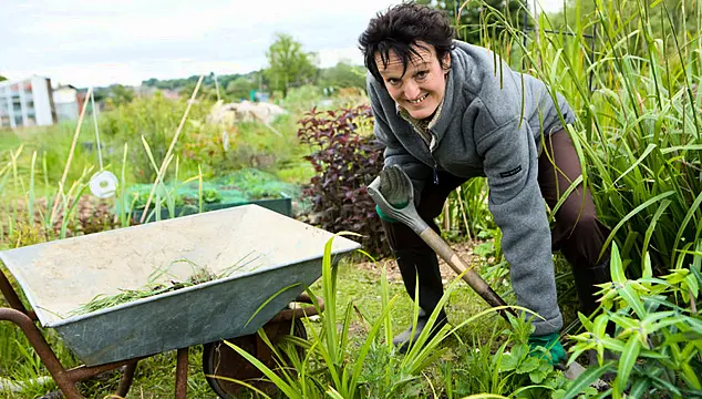 As The Cold Snap Sets In – What Should Gardeners Do To Prepare?