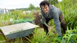 As The Cold Snap Sets In – What Should Gardeners Do To Prepare?