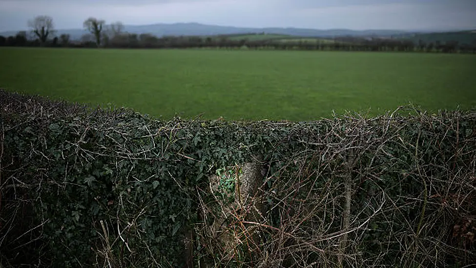 Rifle And Revolvers Among Weapons Found Buried In Hedgerow