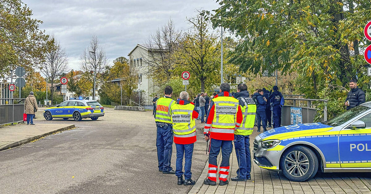 Teenager 'suspected of killing fellow student with a weapon at German  school'