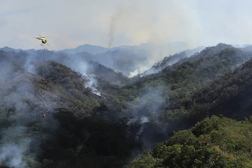 Hawaii Wildfire Destroys Parts Of Rainforest Home To Fragile Species