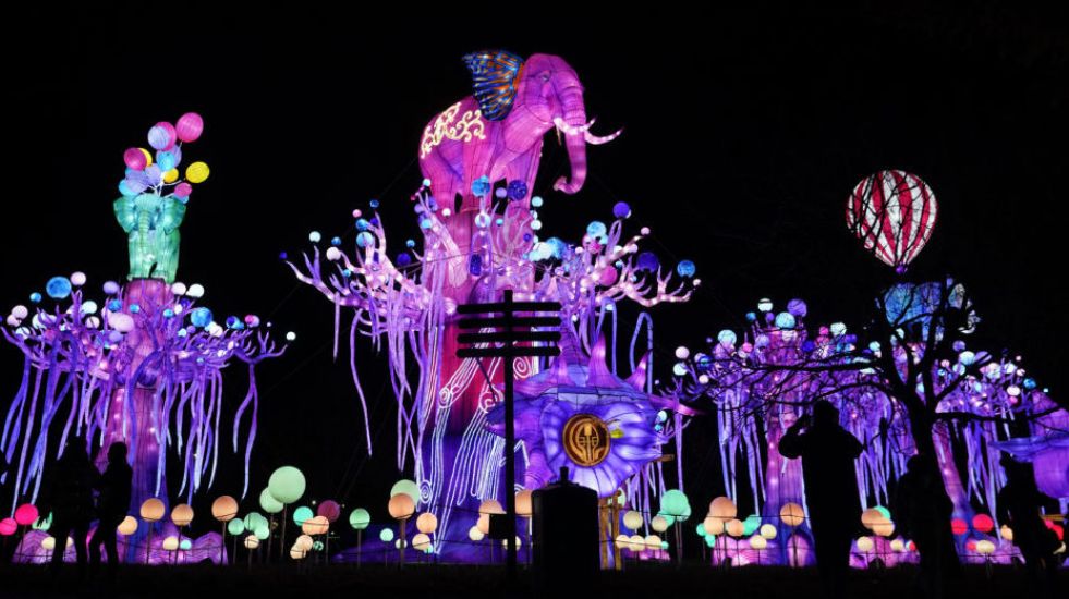 Enchanting Display Of Colour At Dublin Zoo For Wild Lights Spectacular