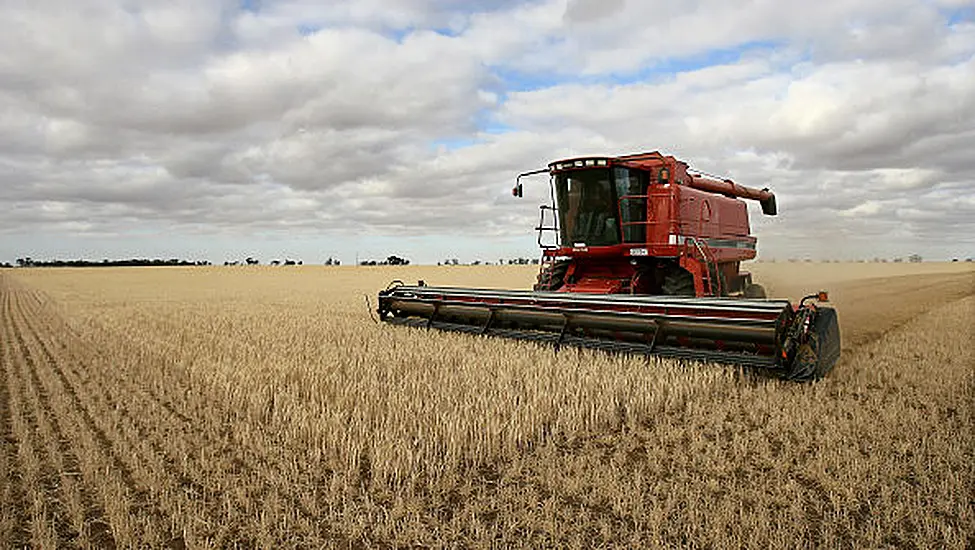 Man Who Took Job As Farmworker In New Zealand Sues Over 'Horror Movie' Accident